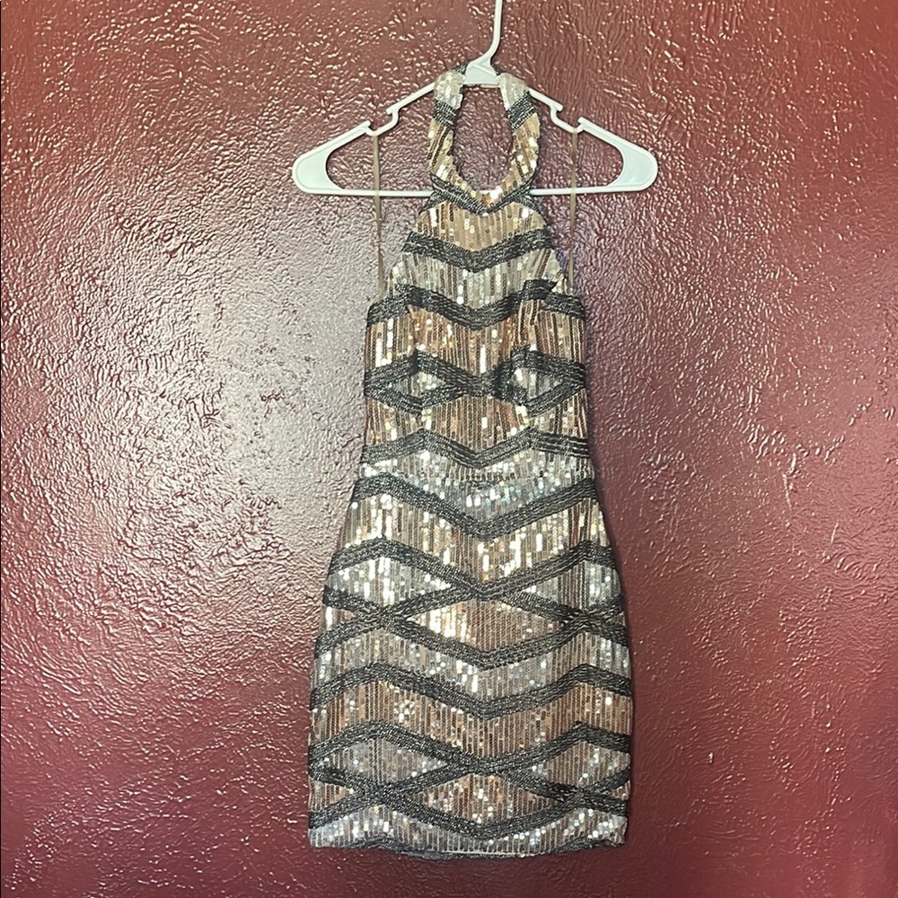 Elegant Silver and Gold Sequin Dress